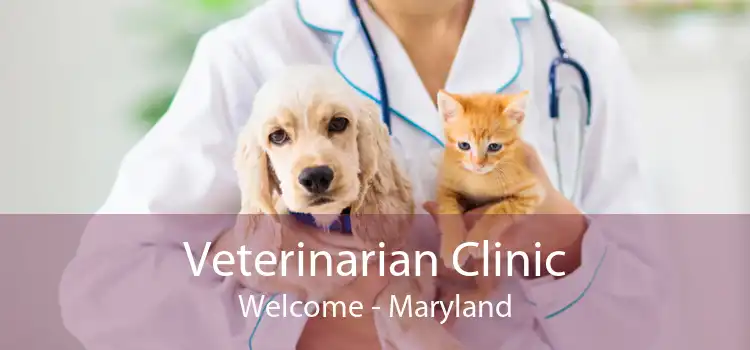 Veterinarian Clinic Welcome - Maryland