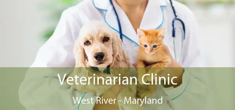 Veterinarian Clinic West River - Maryland