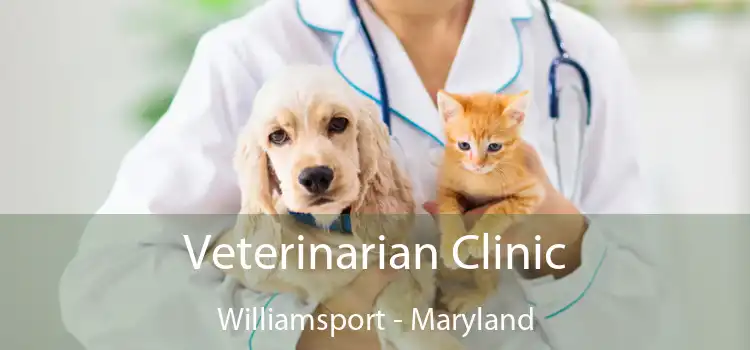 Veterinarian Clinic Williamsport - Maryland