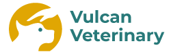 specialized veterinarian clinic in Beallsville